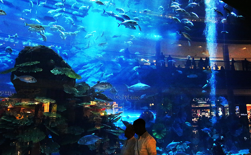 Dubai : United Arab Emirates  : Travel : Photos :  Richard Moore Photography : Photographer : 